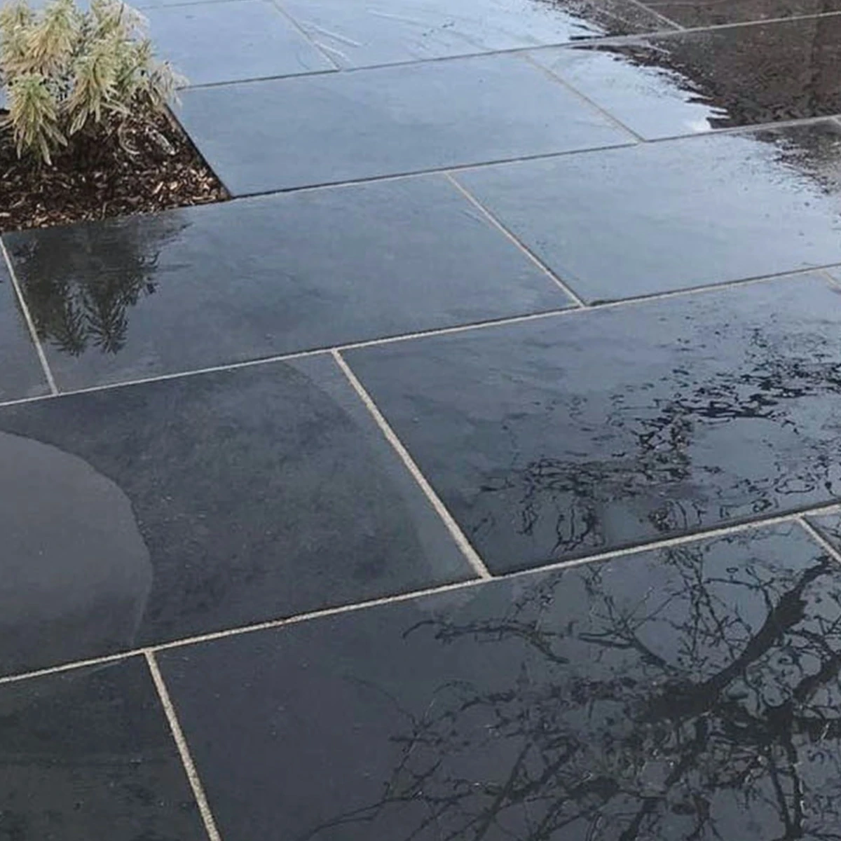 Brazilian Black Slate Paving Slabs - 600x900 - 20mm