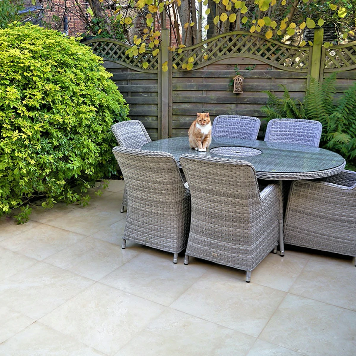 Ivory Outdoor Porcelain Paving Tiles - 600x600 - 20mm