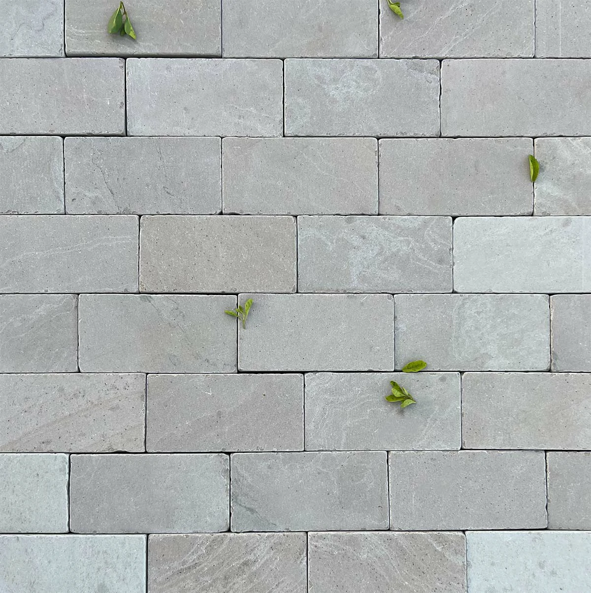 Oxford Buff Indian Sandstone Setts - Tumbled - 200x100 - 40mm