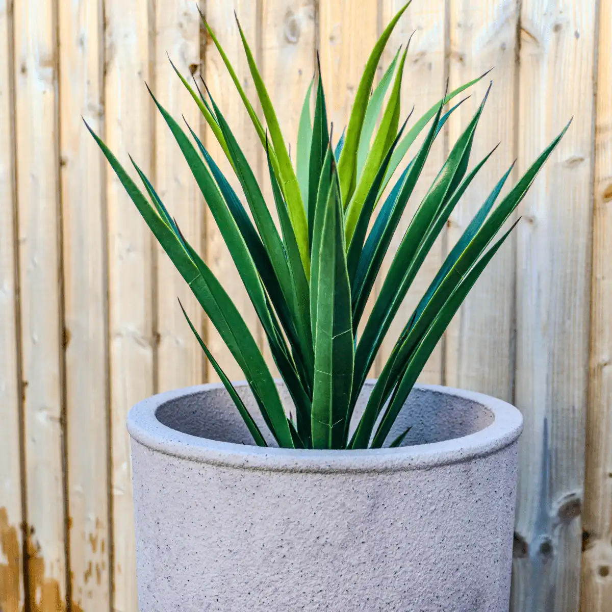 Poise Luxury Fibreglass Planters