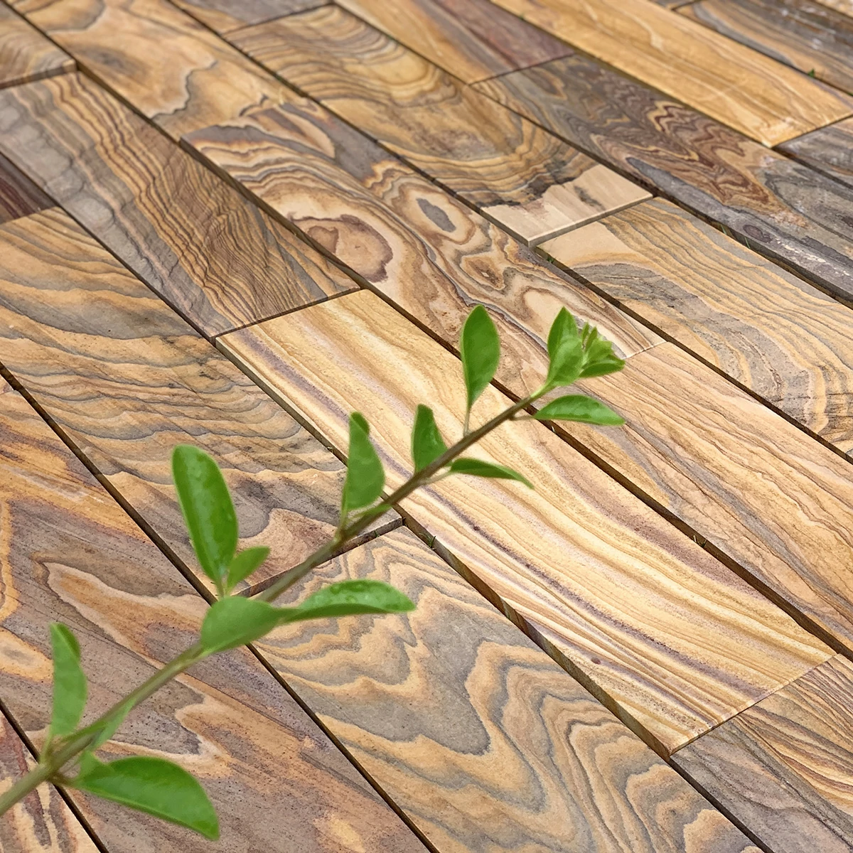 Rainbow Indian Sandstone Paving Slabs - Sawn & Honed - 600x295 - 22mm