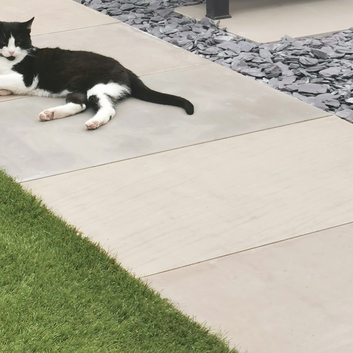 Raj Green Indian Sandstone Paving Slabs - Sawn & Honed - 600x295 - 20mm