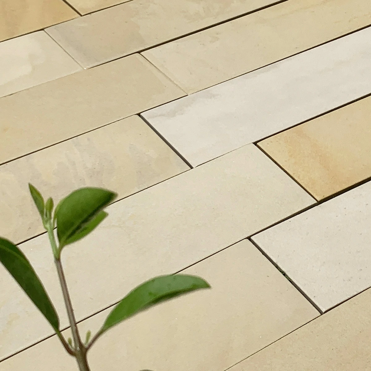 Sawn Mint Indian Sandstone Paving - 600x150 - 20mm