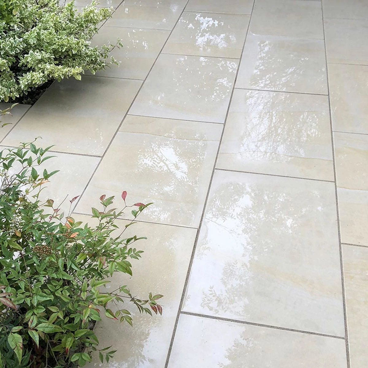 Sawn Mint Indian Sandstone Paving Slabs - 600x900 - 20mm