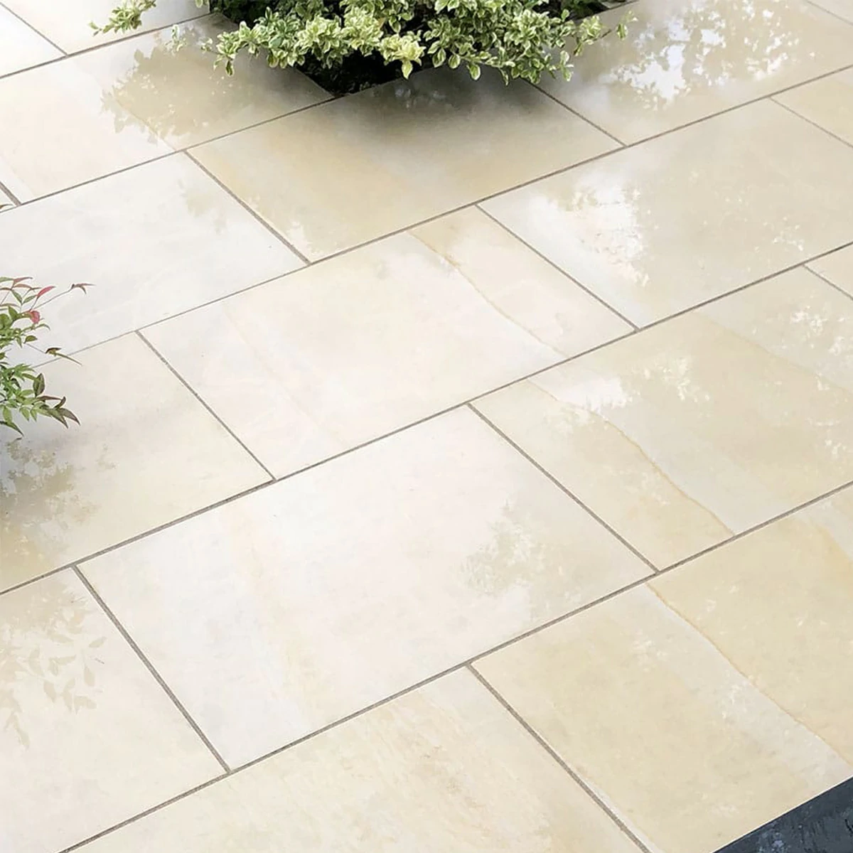 Sawn Mint Indian Sandstone Paving Slabs - 600x900 - 20mm